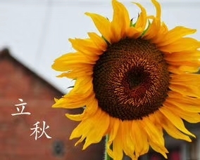 ����ʫ��
