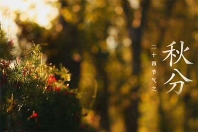 ��ָл�ʫ��