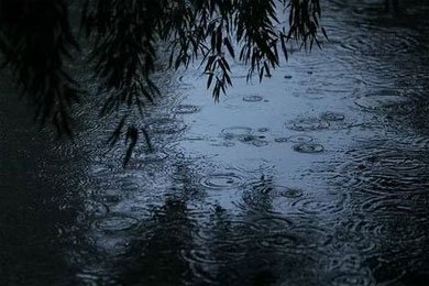 我不知道我为什么不快乐现代诗歌