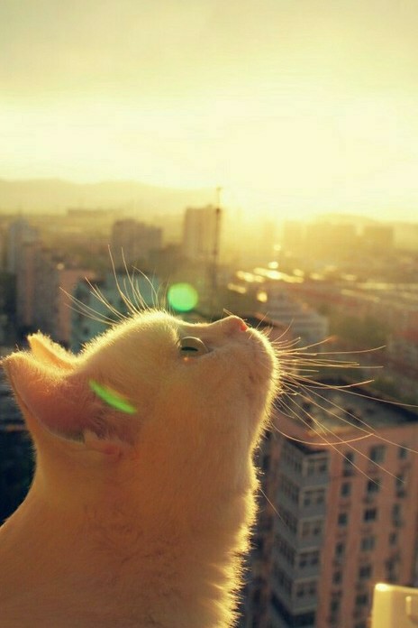 ��С������ϰ������1200��