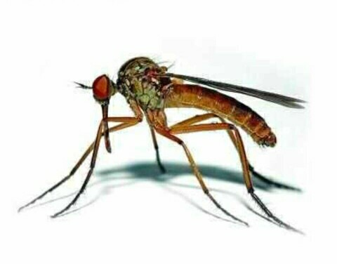 ���ü�����700��