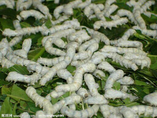 ������800��