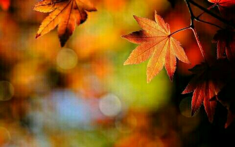 һ��һ���ܹ�������650��