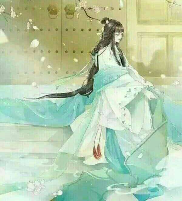 ����������800��