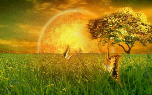 ��Ҷ���㣬�����޷���������600��