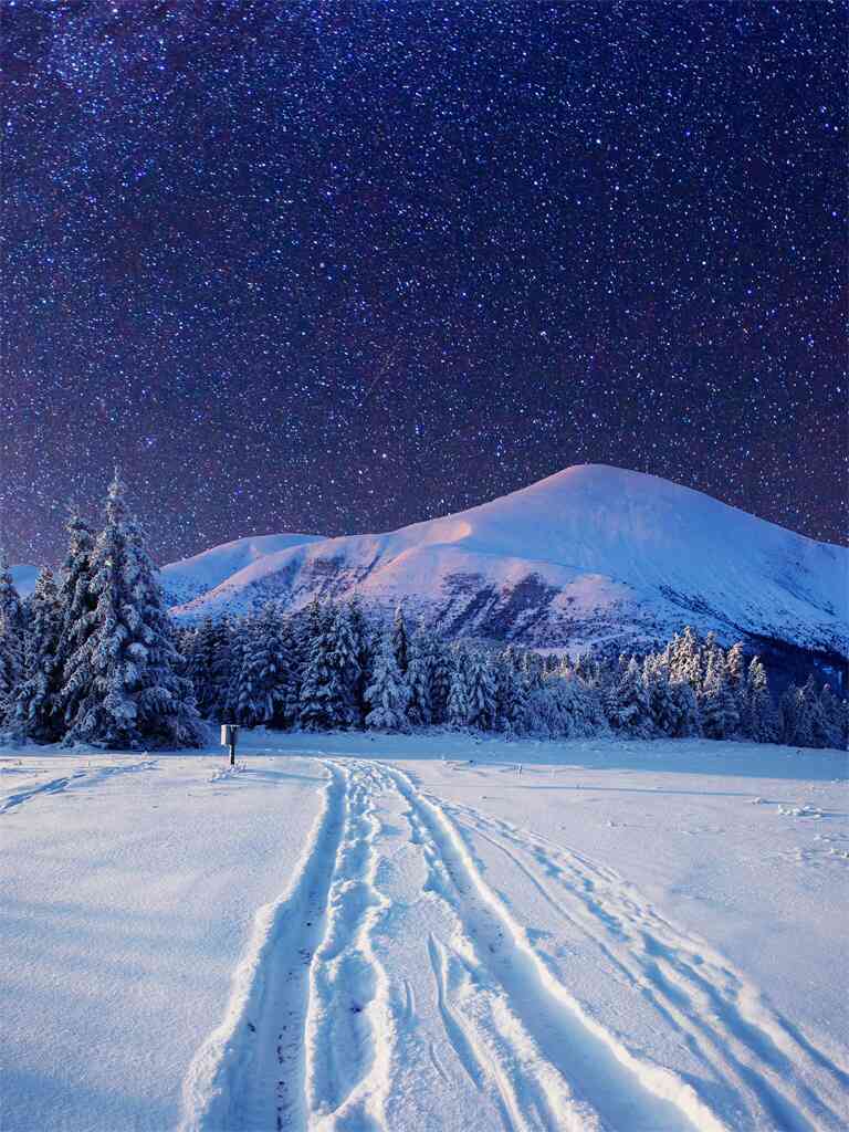 那本书那份情作文750字