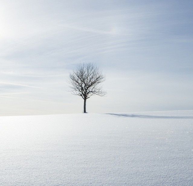 ִ������100��