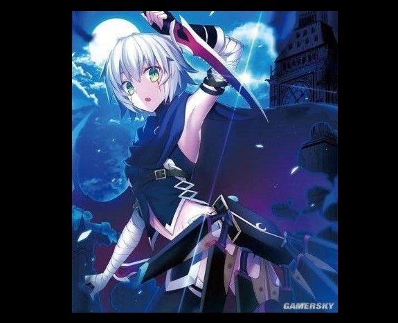 Fate/Final Code��30����Щ���£�һ��