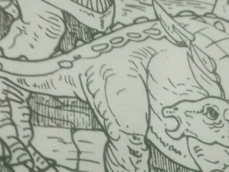 �����ǵĹ�԰����1200��