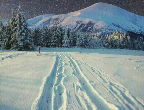 �ټ��ˣ��ҵ�ֿ������700��