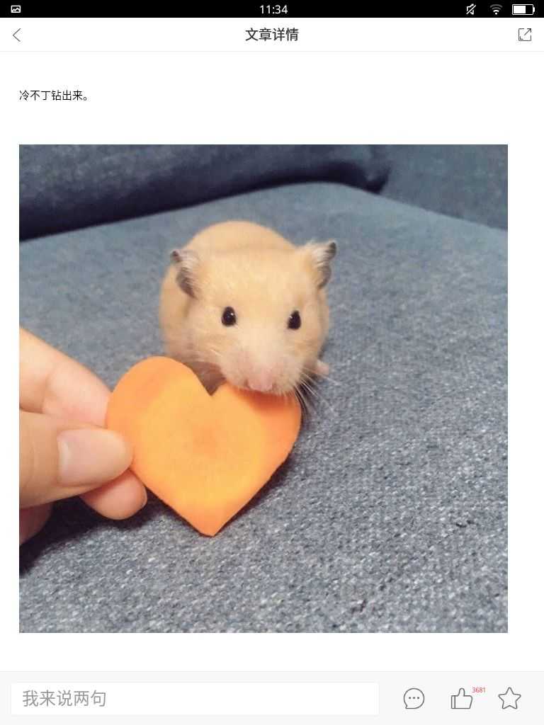 �ɰ��ġ������ӡ�����750��