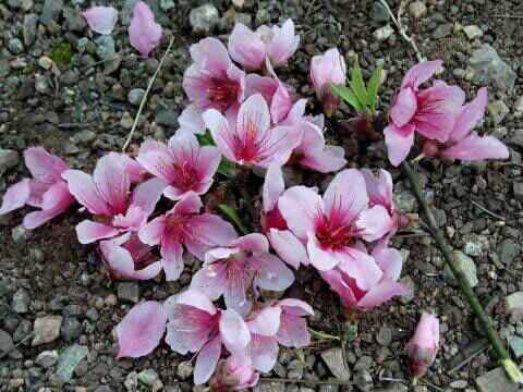 故事与你作文900字