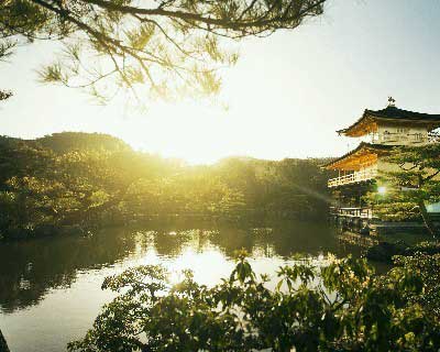 �������������650��