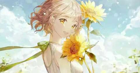 那一片灿烂的阳光作文550字