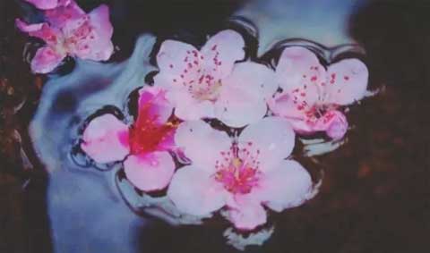 ���ⶼ����ׯ����д����1500��