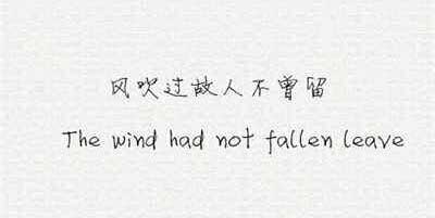 �Ҹ�����������850��