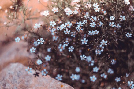 �鼮���������ҵ���������1000��