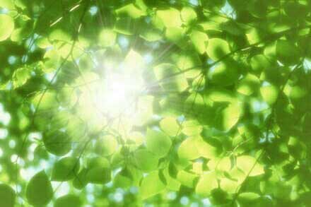 ���ҷ����е�������700��