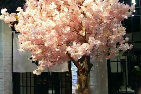 心系那一处的宁静美好作文700字