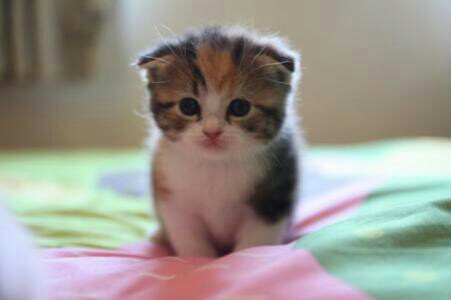 ����Ļ�������800��