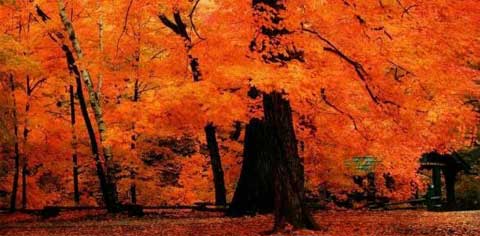 ������ķ�������700��