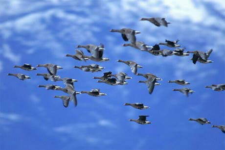 �����Ϲ�����1200��