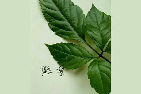 ���Ϻ��ϵ����죨ʮ�ģ�����