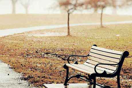 �ҵ��ഺ����������650��