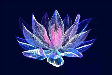 ��������800��