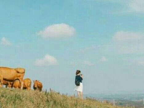 ������800��