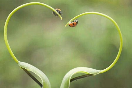 �¼Ż�������750��