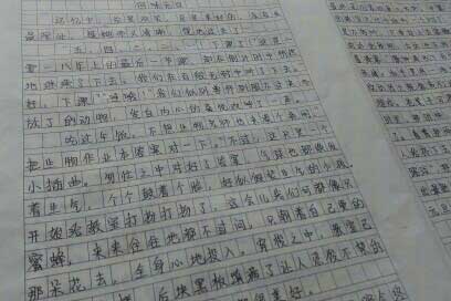 元旦晚会的快乐作文750字