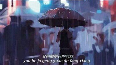 雨中的花折伞~见证了最美的遇见作文650字