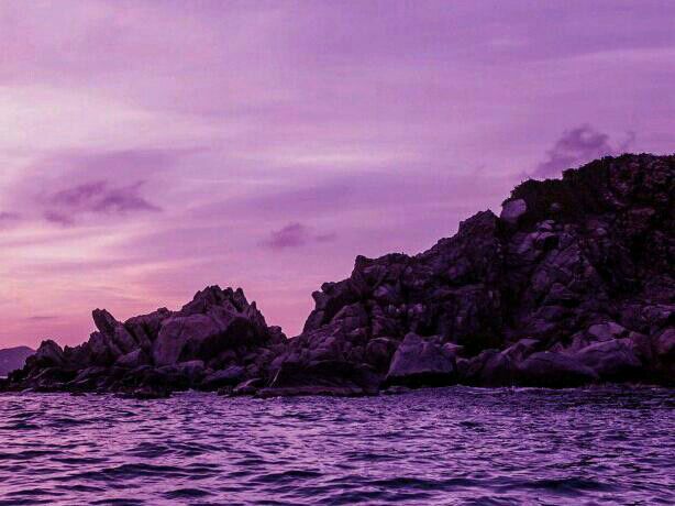 一个倔强的怪人作文750字