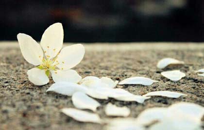 那些青春,那个你作文200字