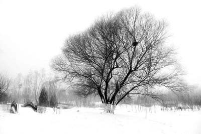 ˮī��������200��