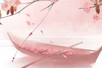 ����Ů����800��