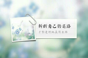 我是一片枫叶作文600字