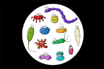 ϸ�����˼�����850��