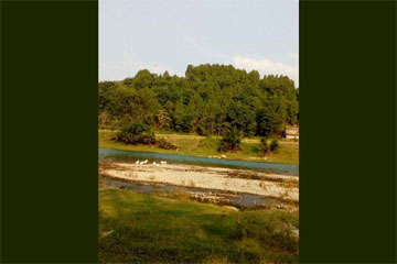 ��֮�޸�����750��