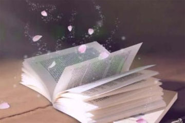 ���������Ĩ��������700��