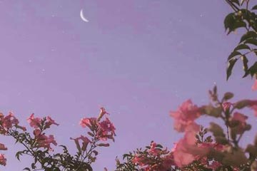 ������������800��