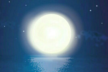 ������250��