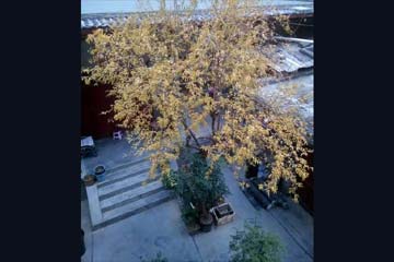 �Ұ��������Ľ�������350��