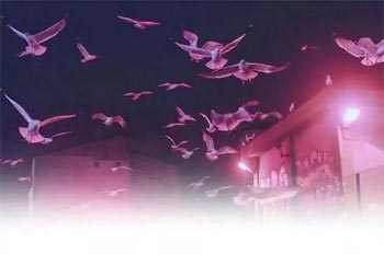 ������������150��