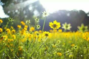 ��л����-һ��ů������1500��