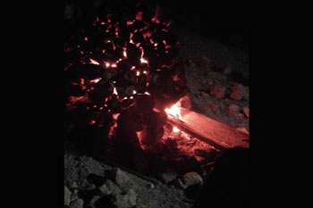 ��ͯ������850��