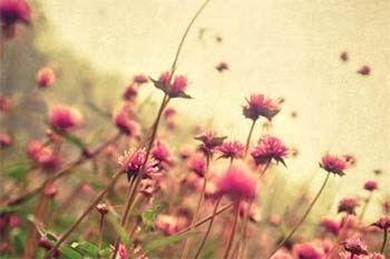 һ��һҶ����200��