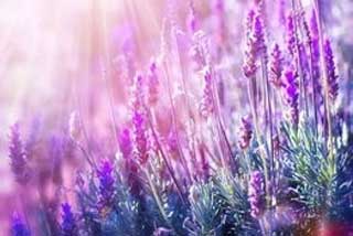 ޹�²�����750��