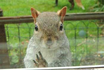 Ը����С���Ѵ����������������Դ�����1200��